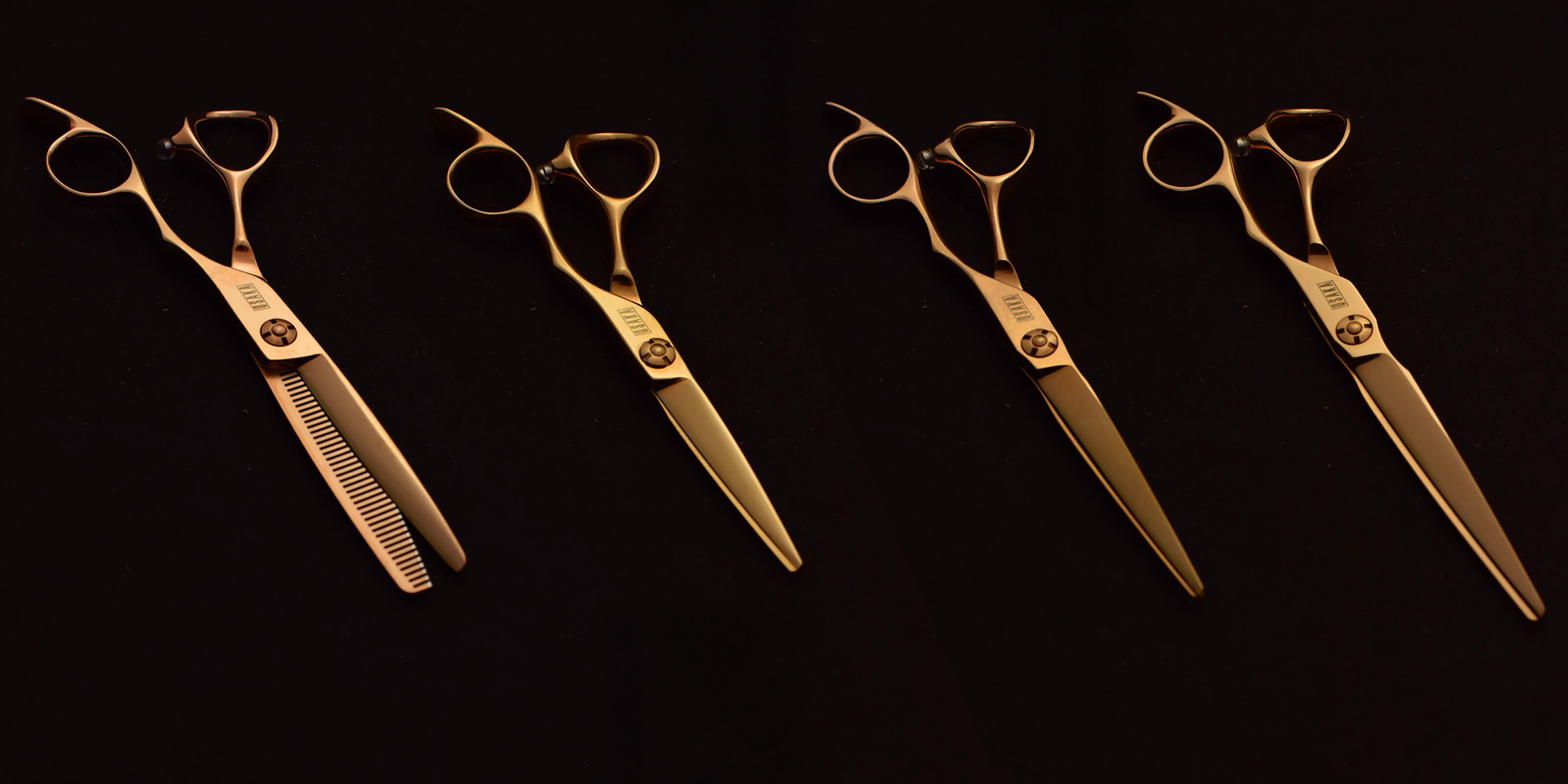 Photo comparative des ciseaux droits OSAKA C2K en 5,5, 6,0 et 6,5 pouces, alignés côte à côte pour visualiser les différentes longueurs de lame et le manche ergonomique recourbé